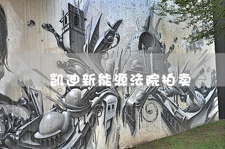 凯迪新能源法院拍卖
