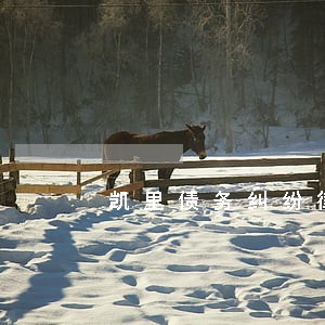 凯里债务纠纷律师 凯里债务纠纷律师