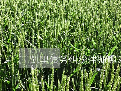 凯里债务纠纷律师哪家强 凯里债务纠纷律师哪家强