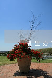 凯里办理离婚律师推荐 凯里办理离婚律师推荐