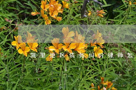 凯里地区债务纠纷律师怎么收费 凯里地区债务纠纷律师怎么收费
