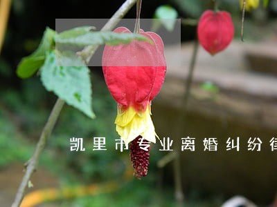 凯里市专业离婚纠纷律师选谁 凯里市专业离婚纠纷律师选谁