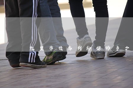 凯里市债务纠纷律师多少钱 凯里市债务纠纷律师多少钱