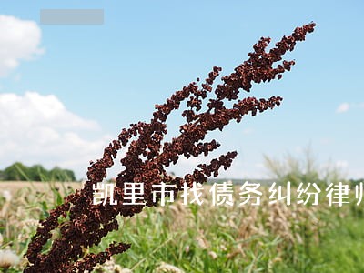 凯里市找债务纠纷律师怎么收费 凯里市找债务纠纷律师怎么收费
