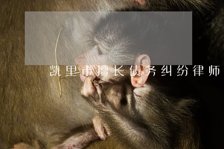 凯里市擅长债务纠纷律师免费咨询 凯里市擅长债务纠纷律师免费咨询