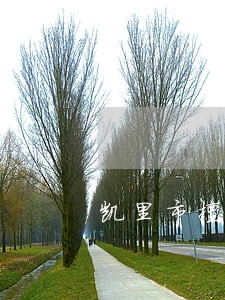 凯里市擅长债务纠纷律师咨询免费