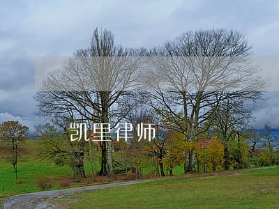 凯里律师 凯里律师