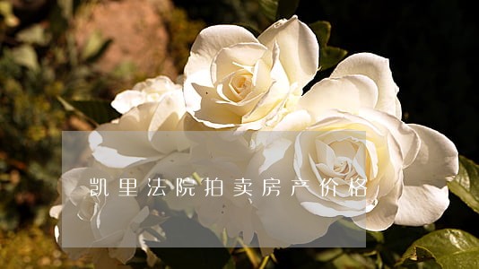 凯里法院拍卖房产价格