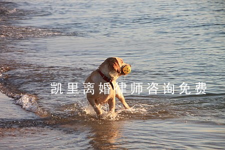 凯里离婚律师咨询免费