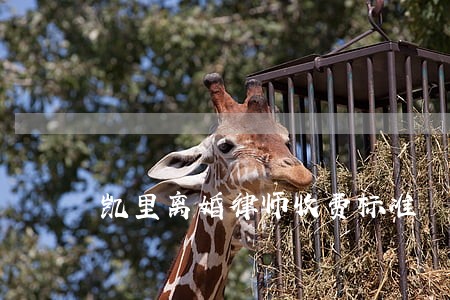 凯里离婚律师收费标准