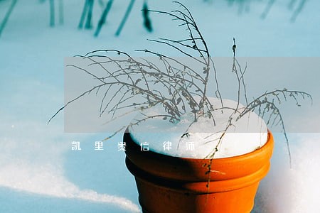 凯里贵信律师 凯里贵信律师