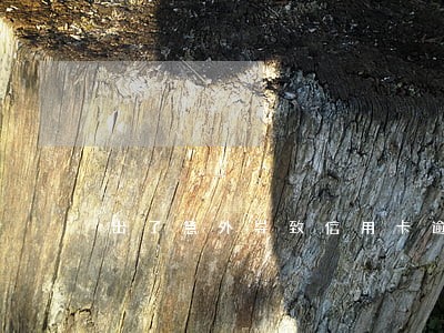 出了意外导致信用卡逾期 出了意外导致信用卡逾期