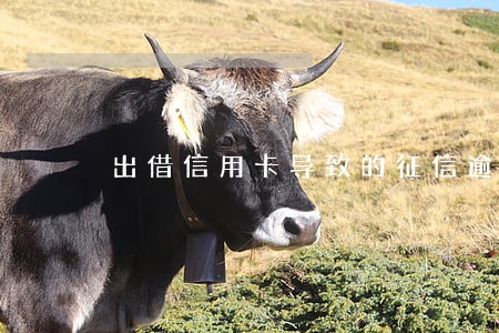 出借信用卡导致的征信逾期 出借信用卡导致的征信逾期