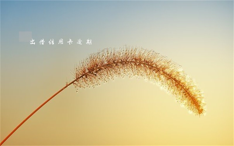 出借信用卡逾期 出借信用卡逾期