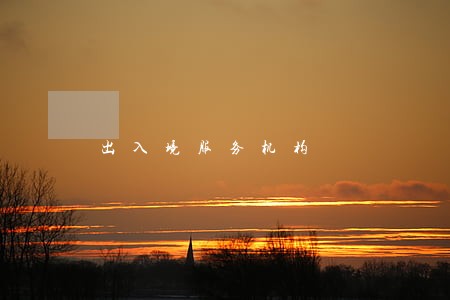 出入境服务机构 出入境服务机构