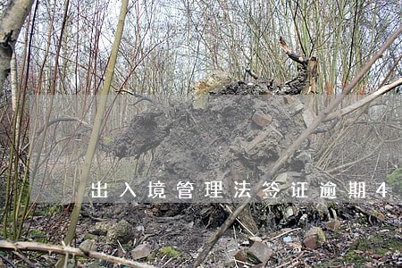 出入境管理法签证逾期40天规定 出入境管理法签证逾期40天规定