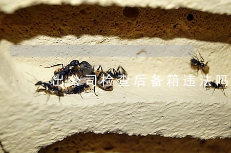 出公司检查后备箱违法吗