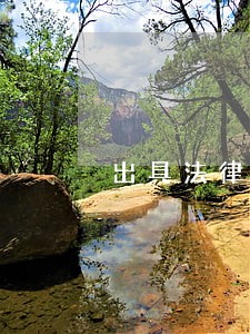 出具法律意见书律师工作 出具法律意见书律师工作
