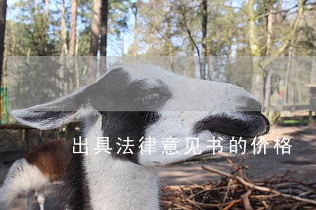 出具法律意见书的价格 出具法律意见书的价格