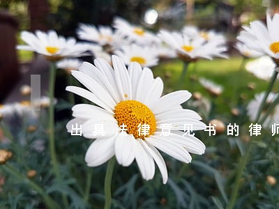 出具法律意见书的律师声明 出具法律意见书的律师声明