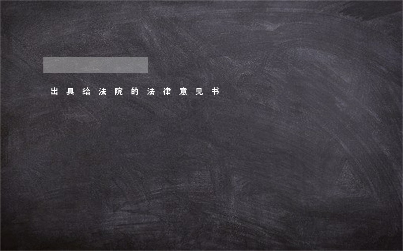 出具给法院的法律意见书