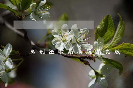 出刑法学第八版第九版 出刑法学第八版第九版