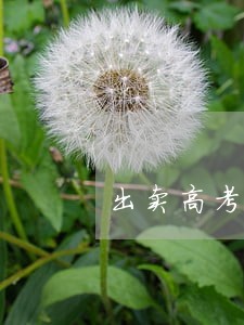 出卖高考通知书违法吗 出卖高考通知书违法吗