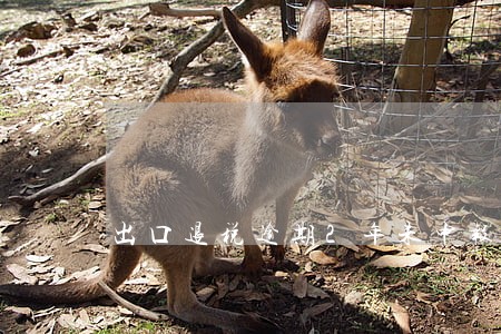 出口退税逾期2年未申报 出口退税逾期2年未申报