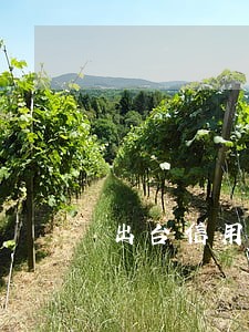 出台信用卡逾期管理办法 出台信用卡逾期管理办法
