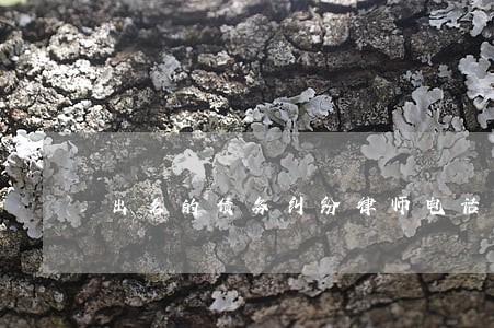 出名的债务纠纷律师电话 出名的债务纠纷律师电话