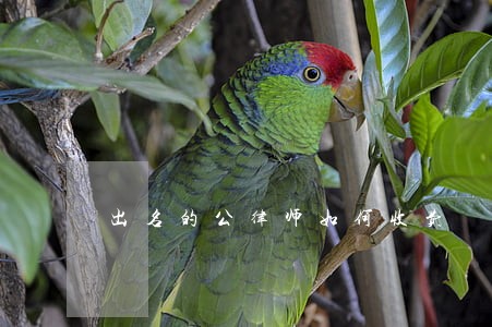 出名的公律师如何收费 出名的公律师如何收费