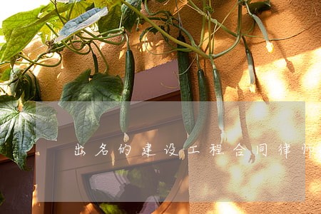 出名的建设工程合同律师哪家正规 出名的建设工程合同律师哪家正规