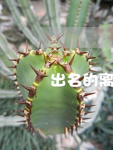出名的离婚律师推荐 出名的离婚律师推荐