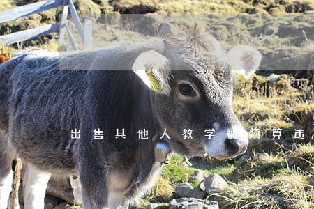 出售其他人教学视频算违法吗 出售其他人教学视频算违法吗