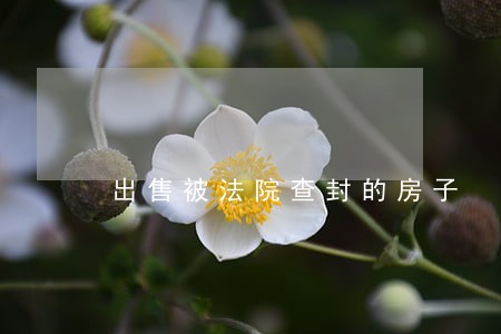 出售被法院查封的房子 出售被法院查封的房子