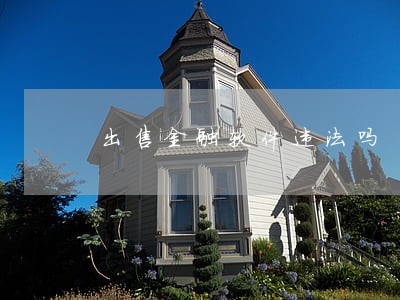 出售金融软件违法吗