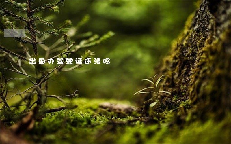 出国办驾驶证违法吗 出国办驾驶证违法吗