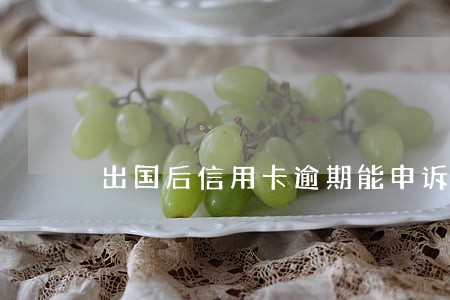 出国后信用卡逾期能申诉吗