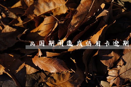 出国期间造成信用卡逾期 出国期间造成信用卡逾期