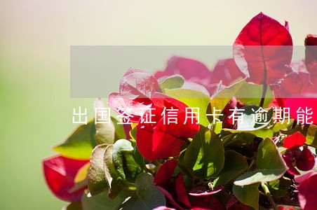 出国签证信用卡有逾期能办吗邮政 出国签证信用卡有逾期能办吗邮政