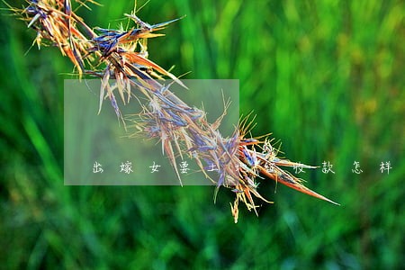 出嫁女要土地征收款怎样诉讼 出嫁女要土地征收款怎样诉讼