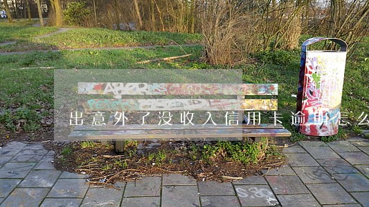 出意外了没收入信用卡逾期怎么办 出意外了没收入信用卡逾期怎么办