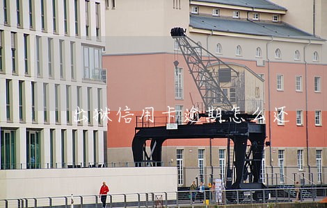 出狱信用卡逾期怎么还