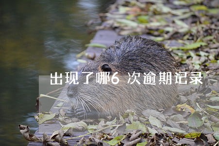 出现了哪6次逾期记录 出现了哪6次逾期记录
