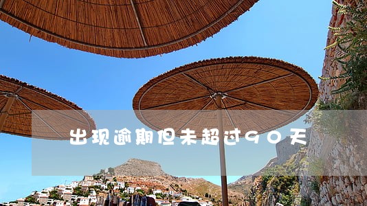 出现逾期但未超过90天 出现逾期但未超过90天