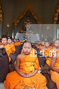 出生的在法律上成年了没 出生的在法律上成年了没