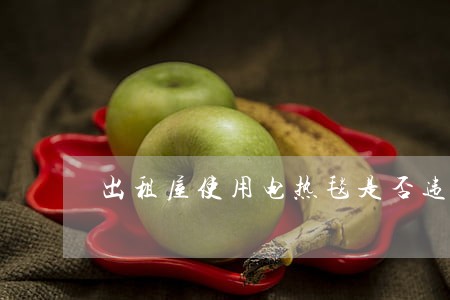 出租屋使用电热毯是否违法 出租屋使用电热毯是否违法