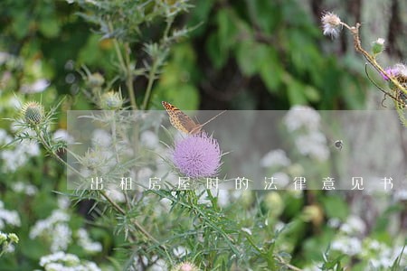 出租房屋时的法律意见书