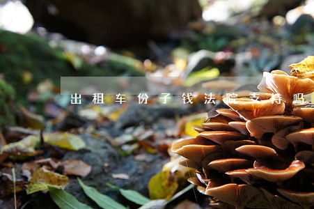 出租车份子钱法院支持吗