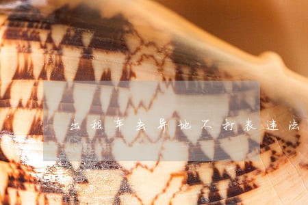 出租车去异地不打表违法吗